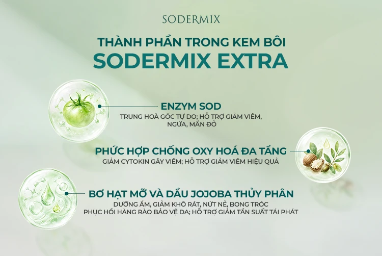 Dầu Jojoba thủy phân và Bơ hạt mỡ trong Sodermix Extra hỗ trợ gì cho người viêm da cơ địa?